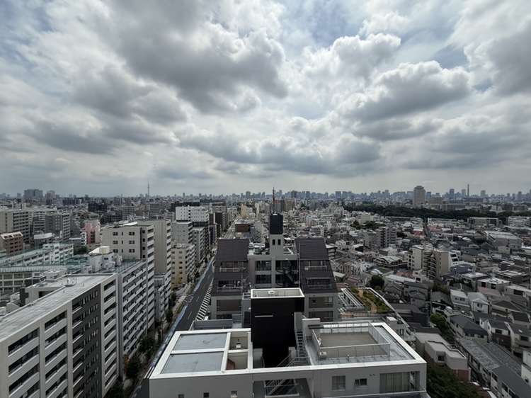 【住戸からの眺望】南東向きバルコニーは、LDから出入り可能。高層階につき、眺望良好です。※眺望は将来にわたって保証するものではありません。