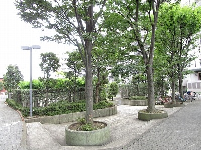 中庭