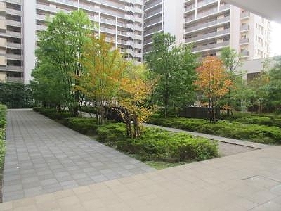 中庭