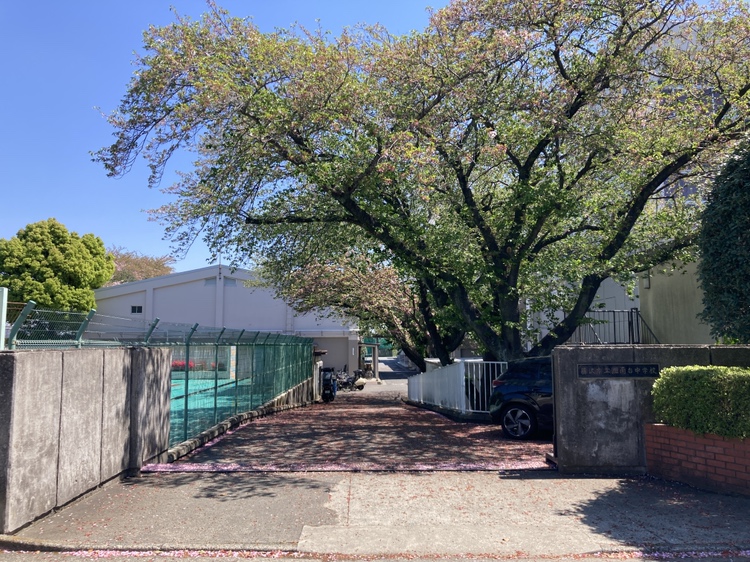 【藤沢市立湘南台中学校】徒歩7分(約530m)。身近な距離にあるため、登下校の負担が少なく済みそうです。HPには、学校だよりや行事予定などが掲載されています。