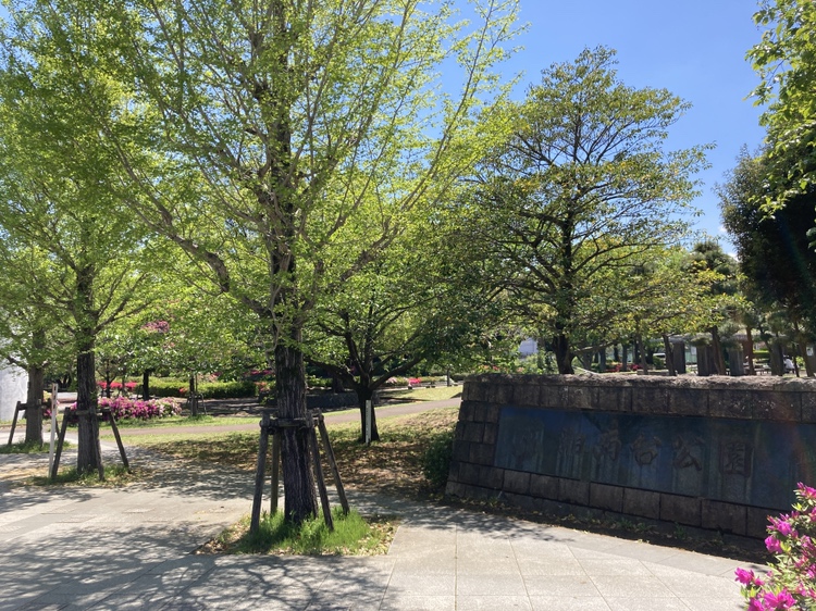 【湘南台公園】徒歩3分(約180m)。園内には、テニスコート(有料)や芝生広場、遊具広場などがあります。季節の花々が植えられており、四季の移ろいを楽しめます。