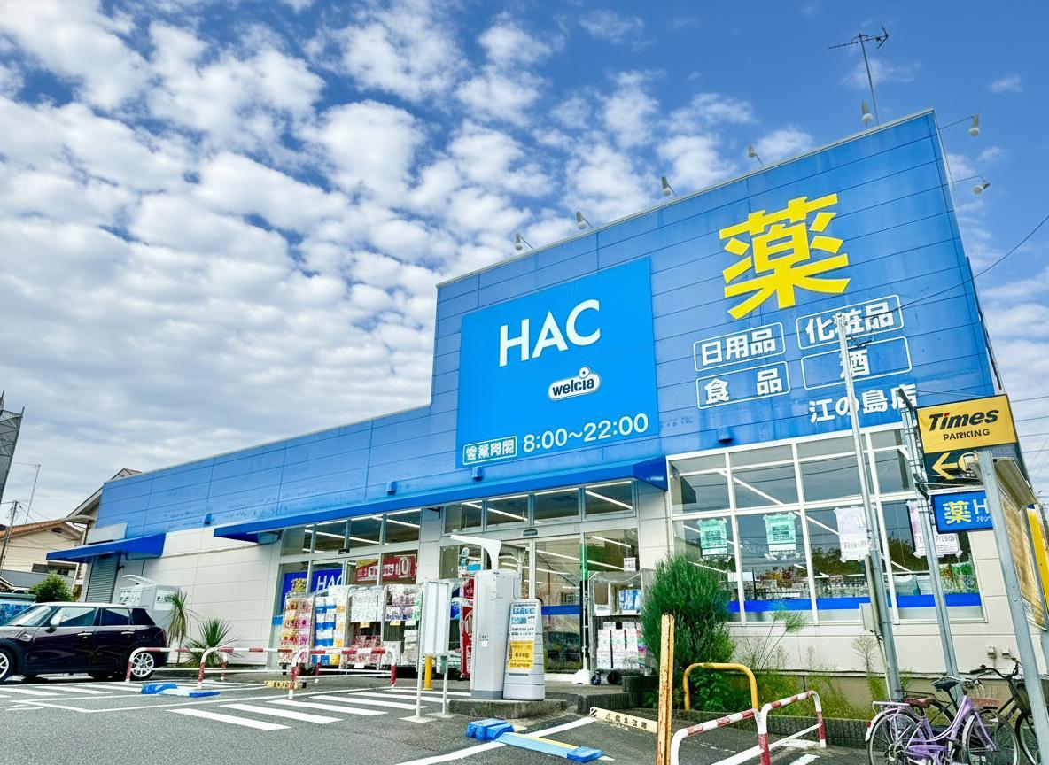 ハックドラッグ江の島店まで徒歩4分（約310m）