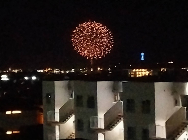 【住戸からの眺望写真】屋上からは花火大会もご覧いただけます（天候による）。