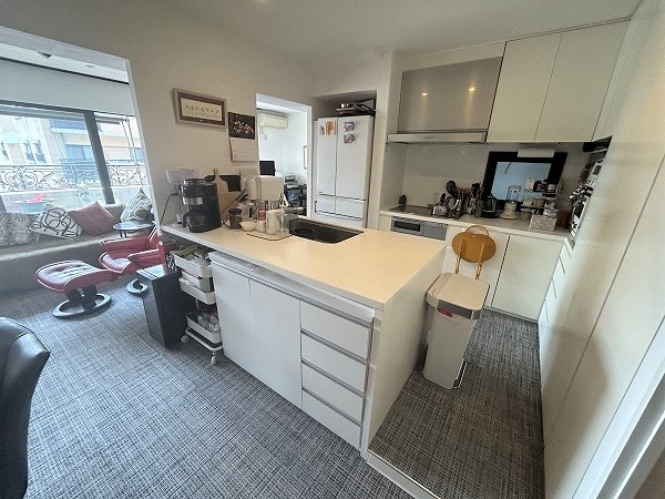 Ⅱ型の対面式キッチン。