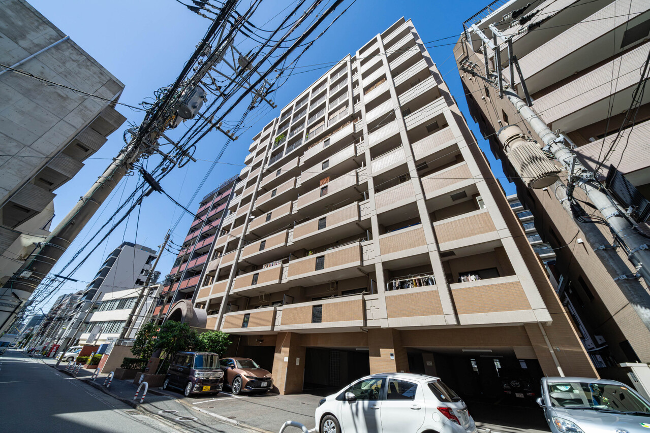 現地（2026年6月）撮影