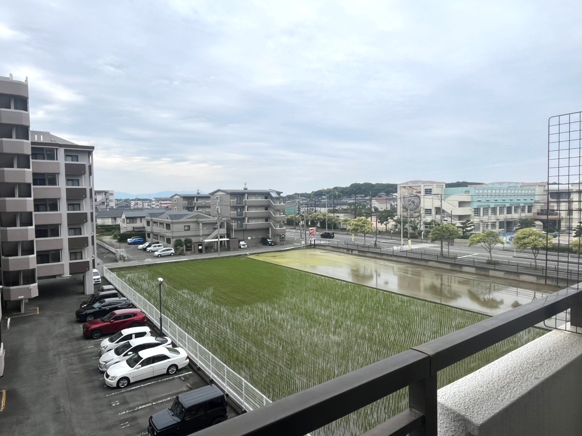 現地からの眺望