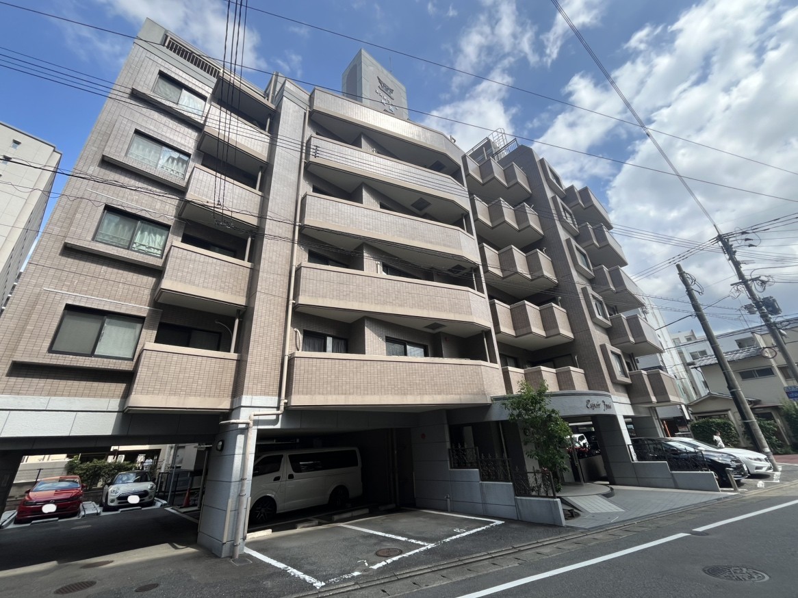 2026年7月撮影