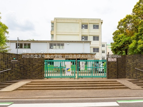 川口市立芝中央小学校 距離697m