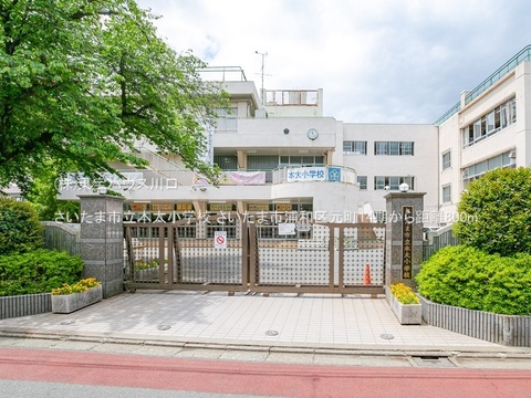 さいたま市立本太小学校 800m