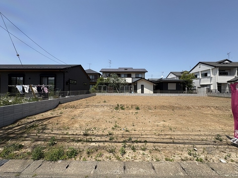 2026年5月中旬撮影