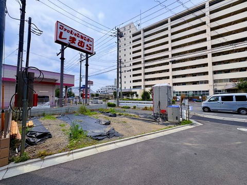 2026年6月中旬撮影