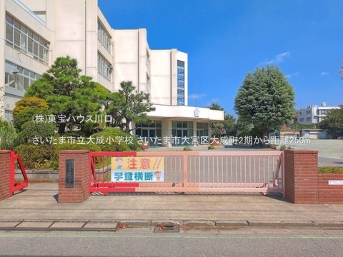 さいたま市立大成小学校 250m