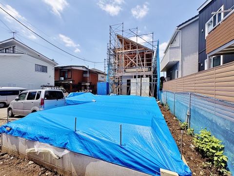 (2026年7月中旬撮影)