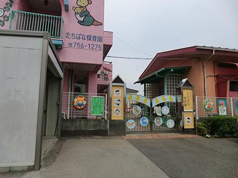 たちばな保育園まで約523m