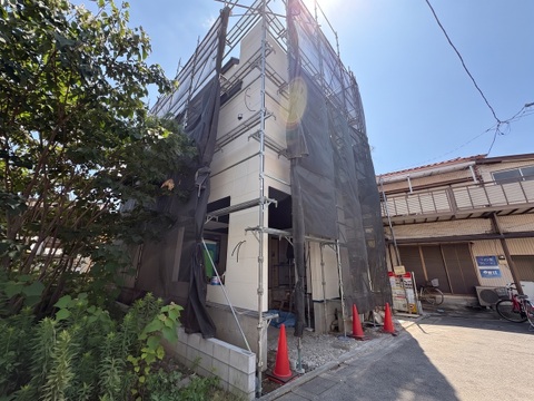 2026年8月中旬撮影