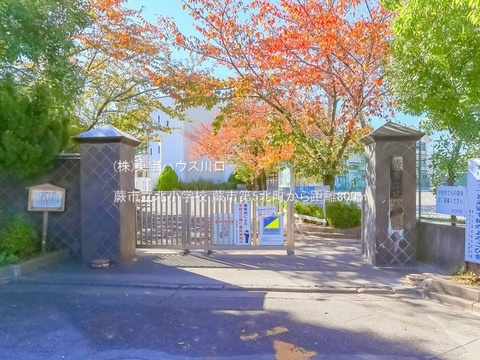 蕨市立北小学校 800m