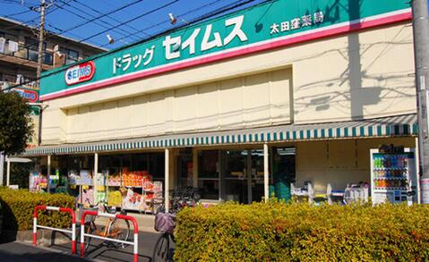 ドラッグセイムス太田窪店　313ｍ