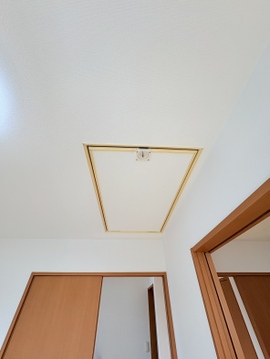 小屋収納の入口。