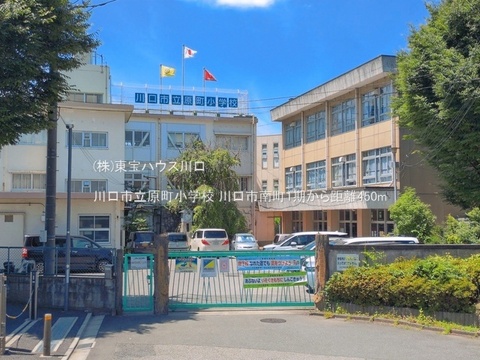 川口市立原町小学校 450m