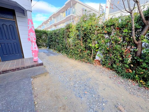 2025年12月末撮影。