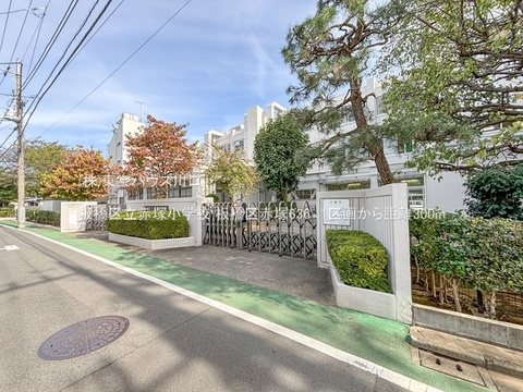 板橋区立赤塚小学校 300m