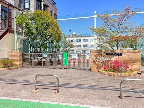 足立区立寺地小学校 800m
