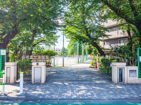 板橋区立赤塚第一中学校 1300m