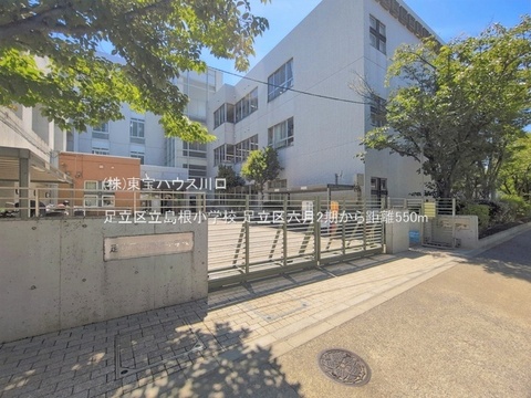 足立区立島根小学校 550m
