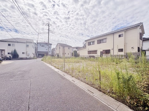 2026年10月中旬撮影