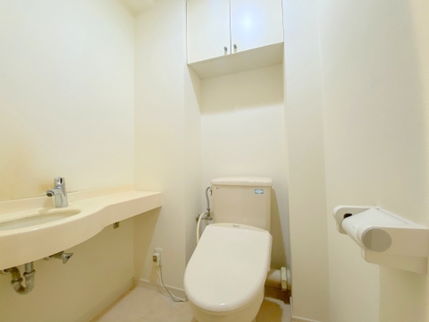 トイレは手洗いカウンター付