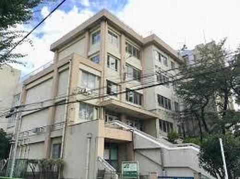 練馬区立大泉小学校まで約220m