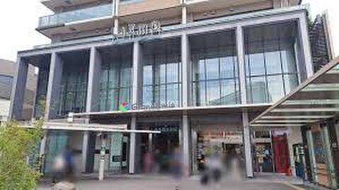 カルディコーヒーファームグランエミオ大泉学園店まで約241m