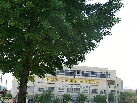 川口市立青木中央小学校まで約560m