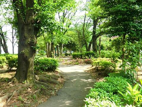 中青木公園まで約498m