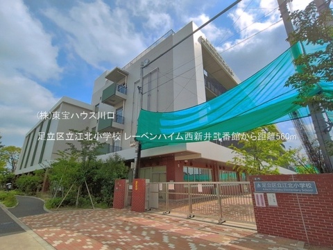 足立区立江北小学校 560m