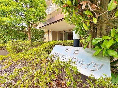 青々とした植栽に包まれた品のあるマンション銘板。豊かな緑が居住者や訪れる人をやさしく出迎え、心安らぐアプローチを演出します。