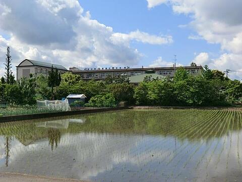 越谷市立南中学校まで約1900m