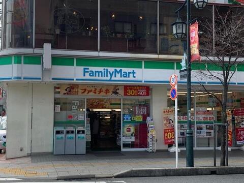 ファミリーマート南越谷一丁目南店まで約300m