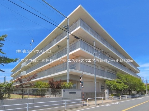 足立区立鹿浜五色桜小学校 800m