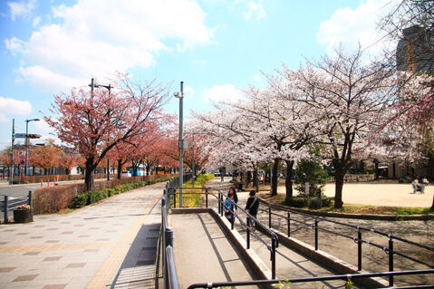 芝川公園　160ｍ