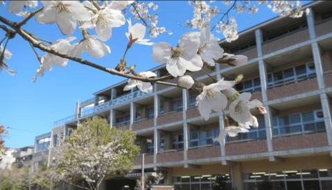 さいたま市立大谷場中学校まで約333m