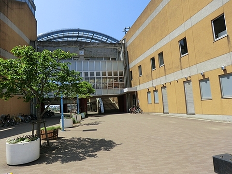 茅ケ崎市立浜之郷小学校　距離約800m