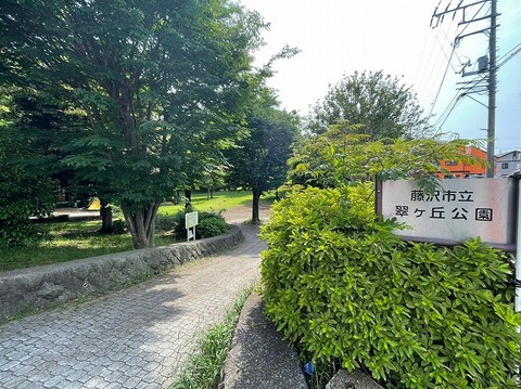 藤沢市立翠ヶ丘公園　距離約850m