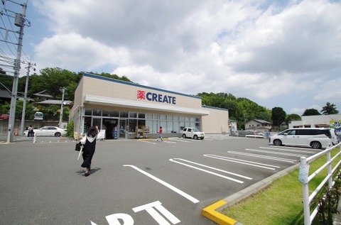 クリエイトS・D　川崎神木本町店　距離約1200m