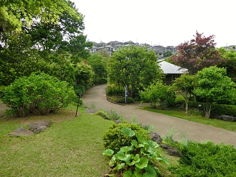 馬場花木園　距離約500m