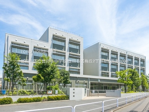 世田谷区立世田谷中学校 600m