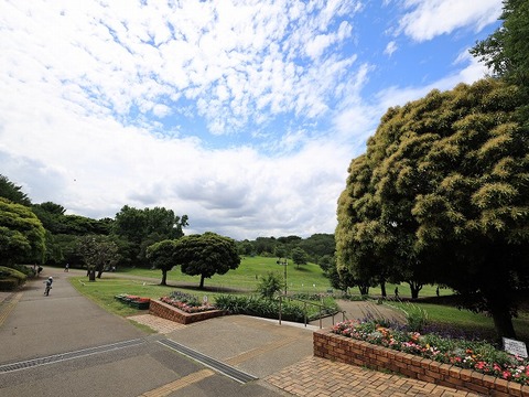 根岸森林公園　距離約750m