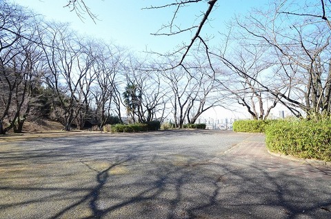いろは坂桜公園　距離約650m