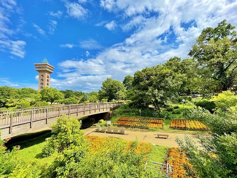 相模原麻溝公園　距離約2100m