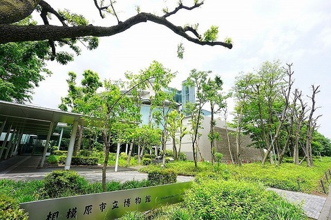 相模原市立博物館　距離約850m